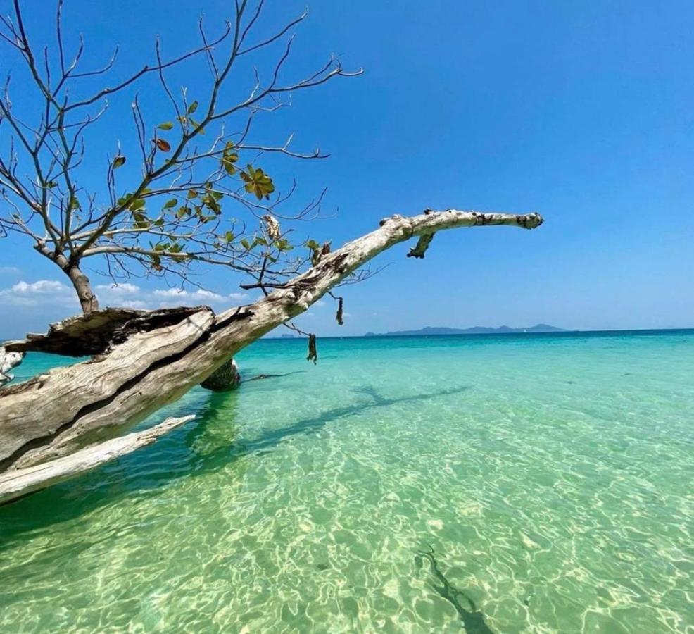 เกาะลิบงซันไรส์ โฮมสเตย์ Koh Libong Sunrise Homestay Exteriér fotografie